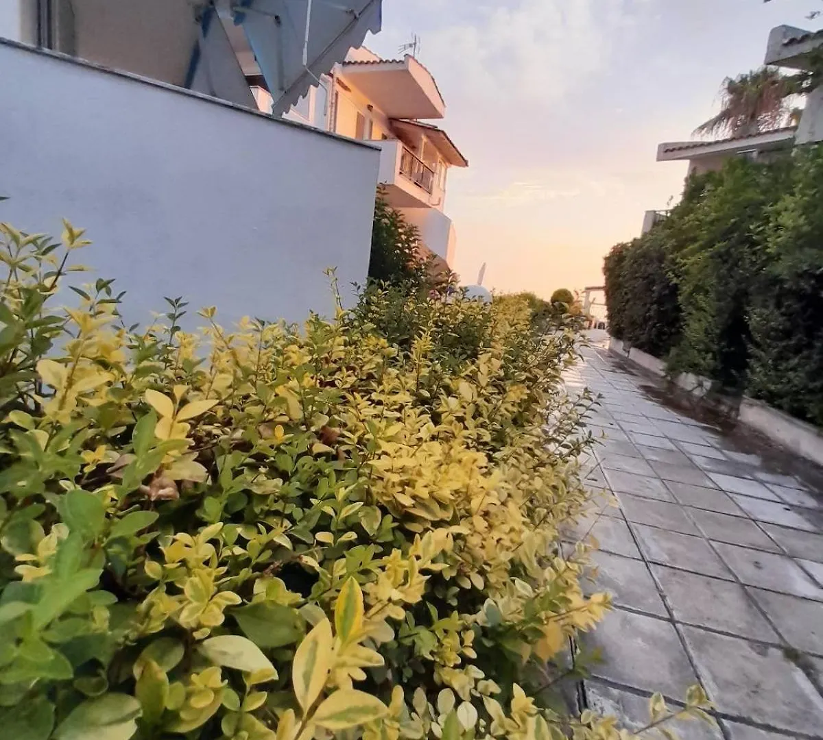 Iris Seafront Apartments Fourka